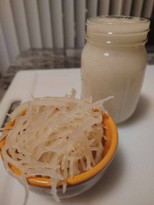 ALL-NATURAL SEAMOSS GEL